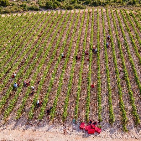 Winery Rizman B&B Slivno Ravno Luaran gambar
