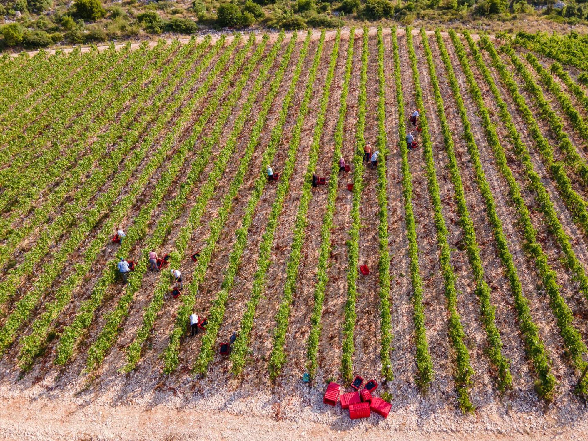 Winery Rizman B&B Slivno Ravno Luaran gambar